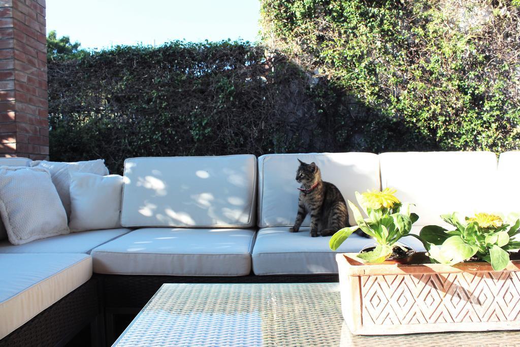 B&B Casa Chinaski มอนเดลโล ภายนอก รูปภาพ
